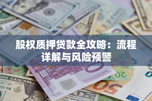 武汉股权质押贷款全攻略：流程详解与风险预警