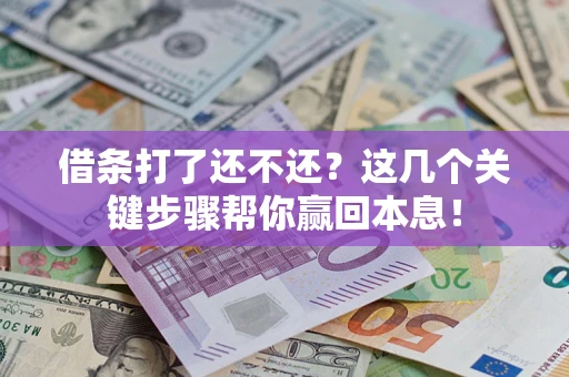 武汉借条打了还不还？这几个关键步骤帮你赢回本息！
