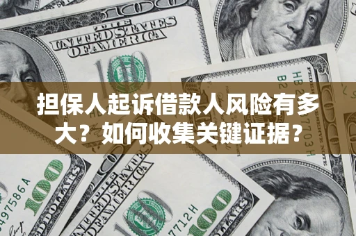 武汉担保人起诉借款人风险有多大？如何收集关键证据？