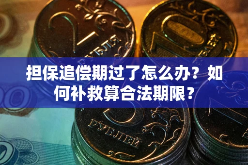 武汉担保追偿期过了怎么办？如何补救算合法期限？