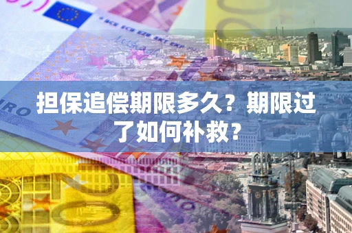 武汉担保追偿期限多久？期限过了如何补救？