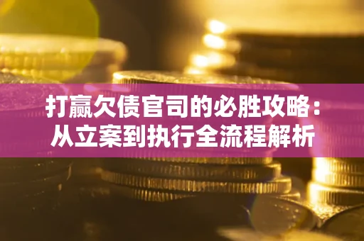 武汉打赢欠债官司的必胜攻略：从立案到执行全流程解析
