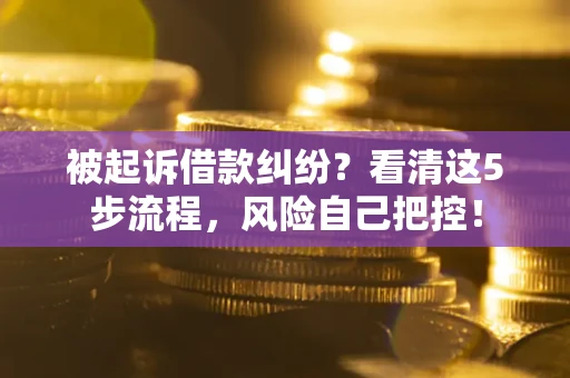 武汉被起诉借款纠纷？看清这5步流程，风险自己把控！