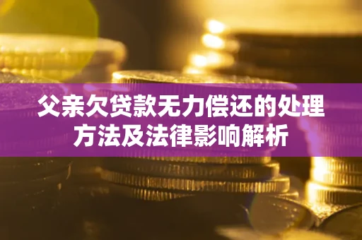 武汉父亲欠贷款无力偿还的处理方法及法律影响解析