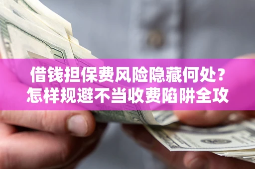 武汉借钱担保费风险隐藏何处？怎样规避不当收费陷阱全攻略！