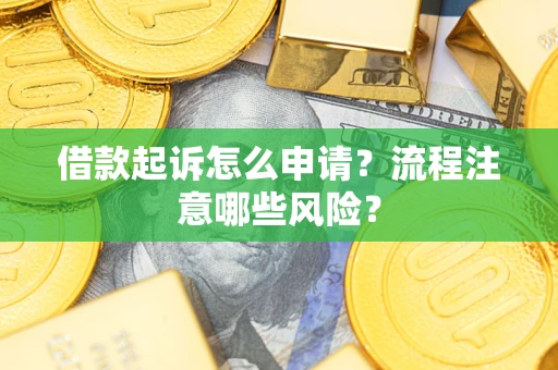 武汉借款起诉怎么申请？流程注意哪些风险？